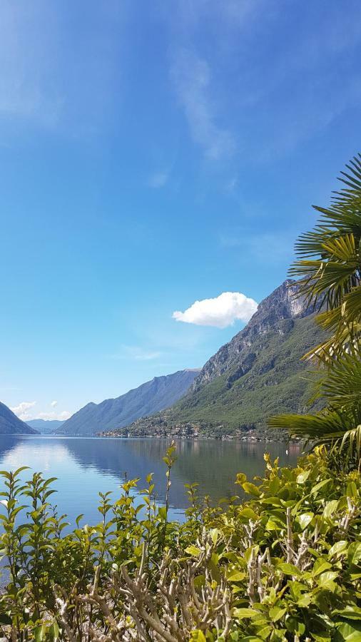 波尔莱扎Chalet Lake Lugano, Vienna 18别墅 外观 照片